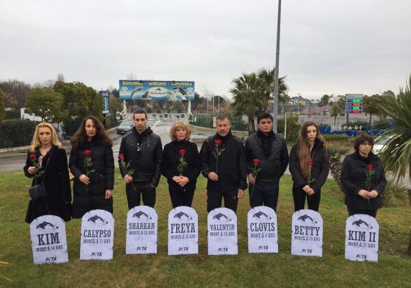 PETA installe un cimetière devant Marineland pour dire que la captivité tue