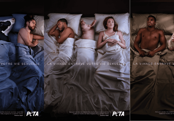 « La viande entrave votre vie sexuelle ! » : nouvelle campagne pour la Saint-Valentin