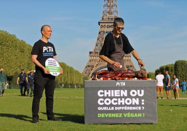 Barbecue choc : des végans font griller un « chien » en plein Paris