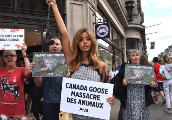 Zahia Dehar dénonce la cruauté de Canada Goose