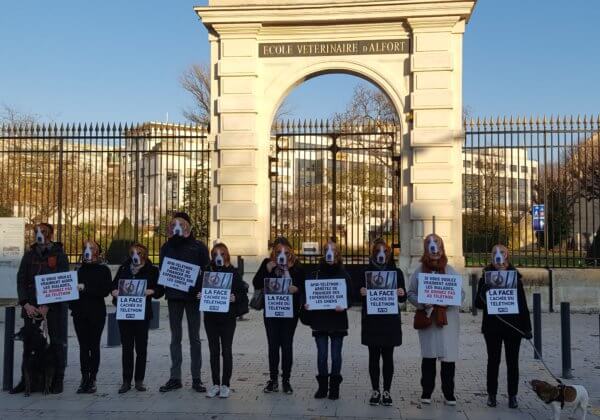 Des « chiens » appellent l’AFM-Téléthon à mettre fin aux cruels tests pratiqués à l’Ecole nationale vétérinaire d’Alfort