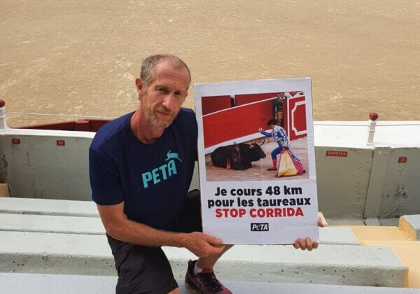 Un ultra-marathonien végan court 48 km à Bayonne en opposition à la corrida