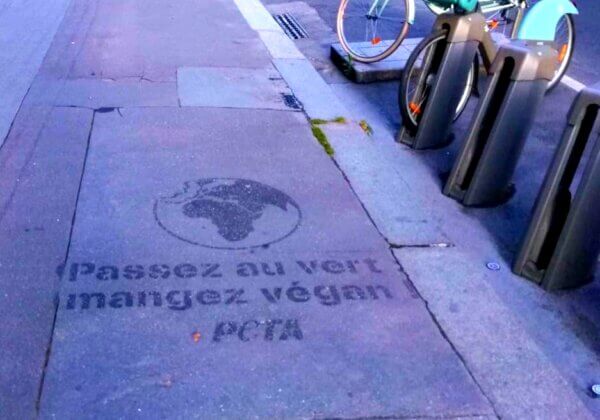 Des « clean tags » pro-végans s’affichent dans Paris