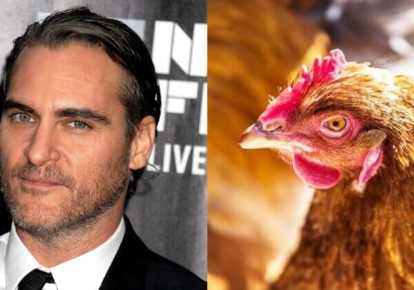 VIDÉO : Joaquin Phoenix veut que vous changiez le monde depuis votre cuisine