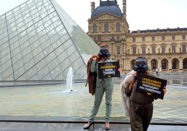 Paris Fashion Week : la fourrure propage des pandémies