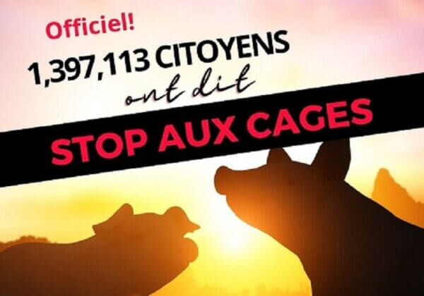 Campagne #EndTheCageAge : 1 397 113 signatures remises à la Commission européenne