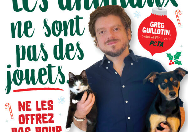 Greg Guillotin rappelle que les animaux ne sont pas des cadeaux de Noël