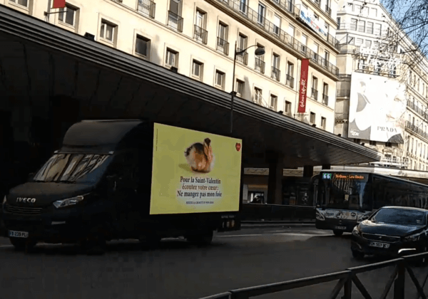 Une campagne anti-foie gras déambule sur les Champs-Élysées pour la Saint-Valentin