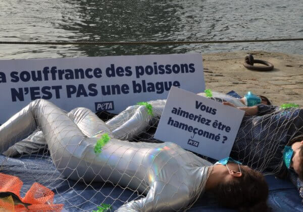 « La souffrance des poissons n’est pas une blague » rappelle PETA