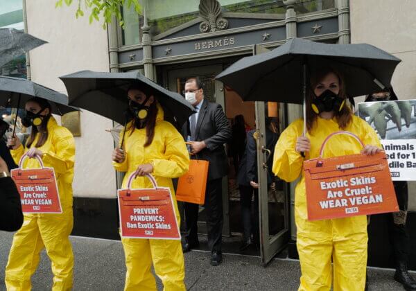 De Sydney à New York des militants appellent Hermès à bannir le cuir exotique