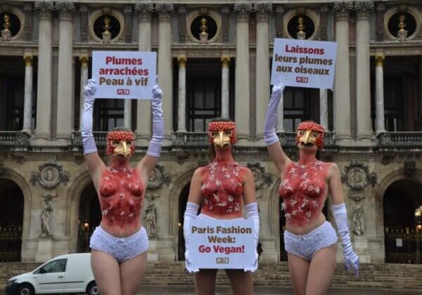 Paris Fashion Week : des militantes « plumées à vif » dénoncent la cruauté du duvet