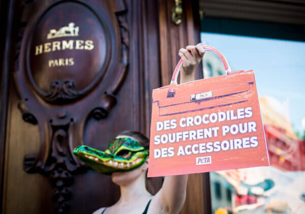 Des « crocodiles » de PETA protestent contre la cruauté des peaux exotiques devant une boutique Hermès