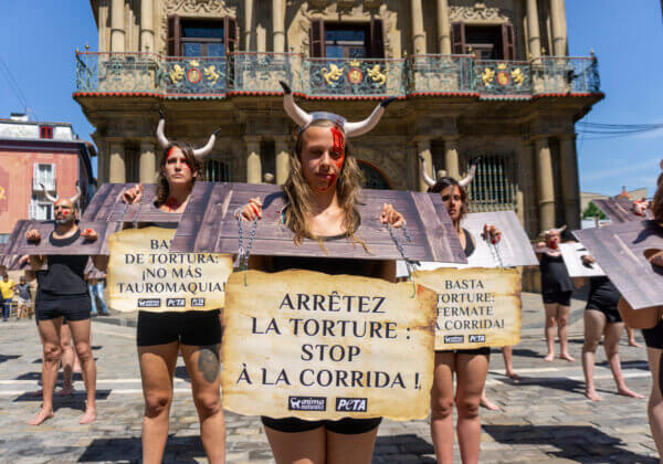 Des activistes « torturés » manifestent contre la corrida à Pampelune