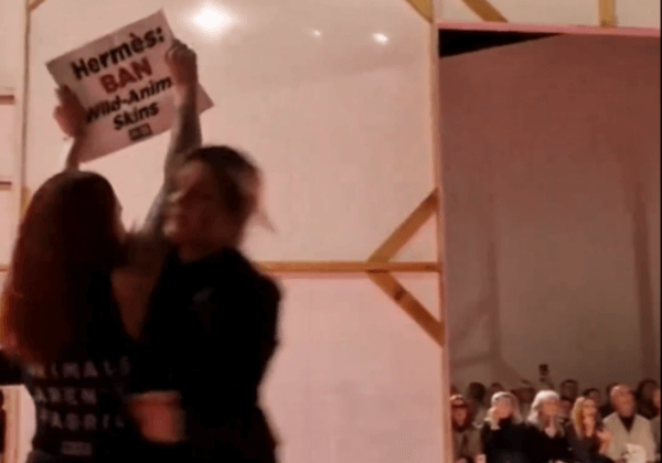 À l’instant : des activistes de PETA perturbent le défilé Hermès pendant la Fashion Week parisienne