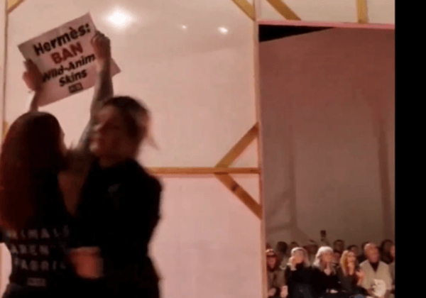 À l’instant : des activistes de PETA perturbent le défilé Hermès pendant la Fashion Week parisienne