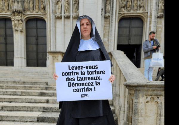 Une « nonne » géante demande au pape François de couper les liens entre l’Église et la corrida