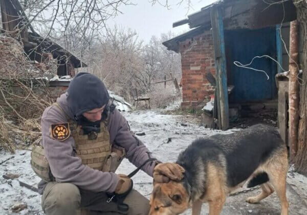 Ukraine : interview d’un sauveteur d’animaux au 1 000e jour de la guerre