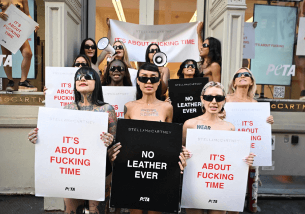 Stella McCartney a été nommée la personnalité de l’année 2024 par PETA