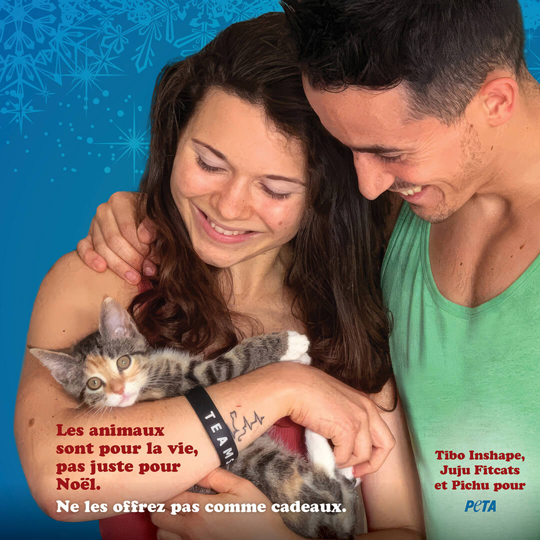 Tibo Inshape, Juju Fitcats et PETA appellent à ne jamais offrir d’animaux pour Noël