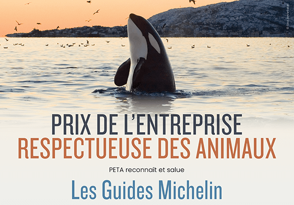 Michelin s’engage à ne plus faire la promotion des delphinariums dans ses guides