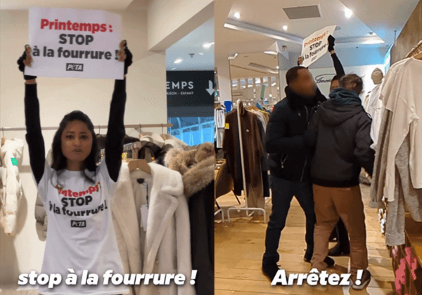 « Printemps, stop à la fourrure ! » : une militante de PETA interpelle le grand magasin à Paris